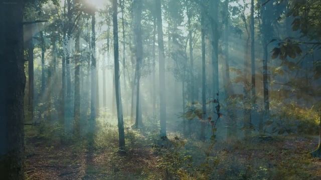 Beautiful Celtic Music • Relaxing Fantasy Music for Relaxation & Meditation, Peaceful Music смотреть онлайн