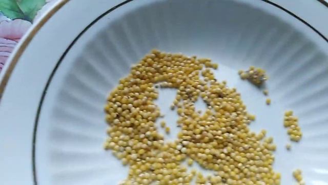 Откуда дома Моль... Разоблачение!!! смотреть онлайн