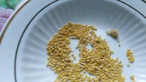 Откуда дома Моль... Разоблачение!!!