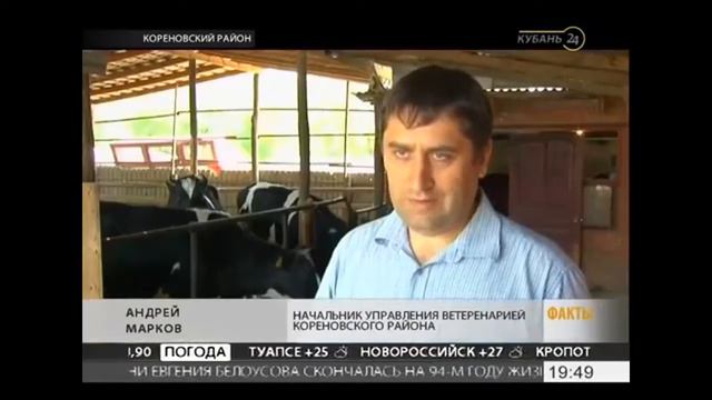 Как проходит регистрация животных в Кореновском районе Краснодарского края смотреть онлайн
