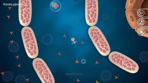 ЭВОЛЮЦИЯ БАКТЕРИОФАГА ЧТОБЫ ВИРУС ЗАХВАТИЛ ЧЕЛОВЕКА В ИГРЕ INFECTIOUS