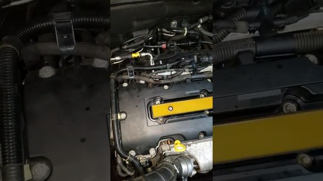 Chevy Cruze most common problems vacuum leak смотреть онлайн