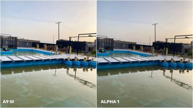 Sony A9 III VS Sony Alpha 1 | Night Mode Camera Test смотреть онлайн