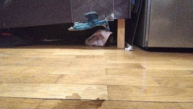 Не люблю суп