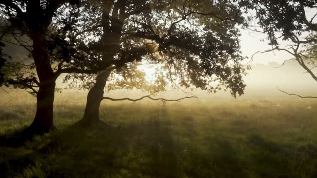 КРАЙОН ПРИТЧА О ЯМЕ С ДЁГТЕМ №1 смотреть онлайн