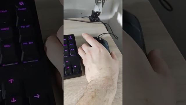 Клавиатура и мышь Logitech Gaming серии с синхронизированной подсветкой смотреть онлайн