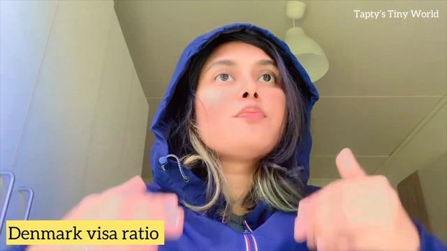 Q/A session 3| Questions regarding Denmark visa ratio,master’s requirement,study gap,bank statement смотреть онлайн