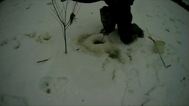 Поймали щучку на налимью снасточку - Болен Рыбалкой №320 смотреть онлайн