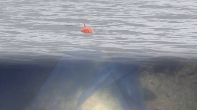 FishSpy Echo Pro - Sonar and Live View Underwater Camera Combined смотреть онлайн