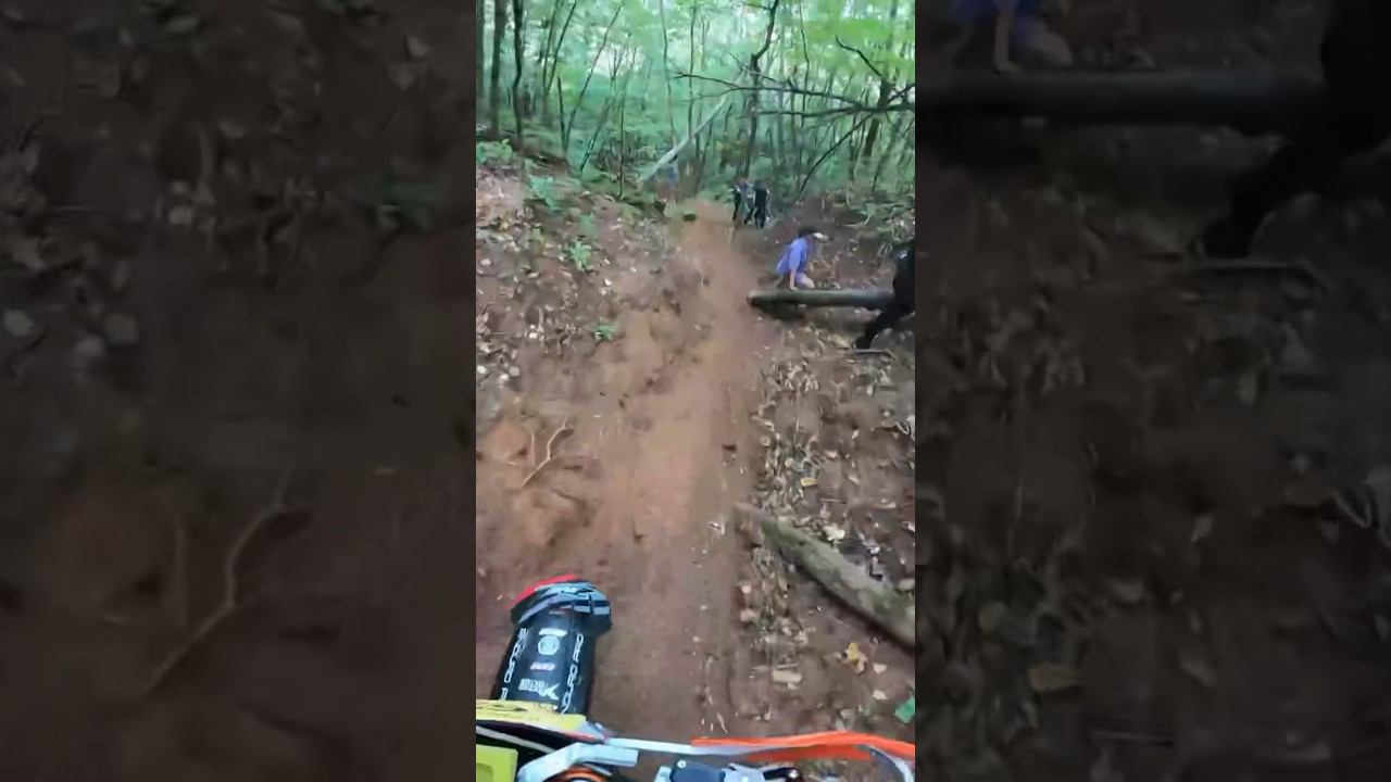 24 августа 2023 г. смотреть онлайн