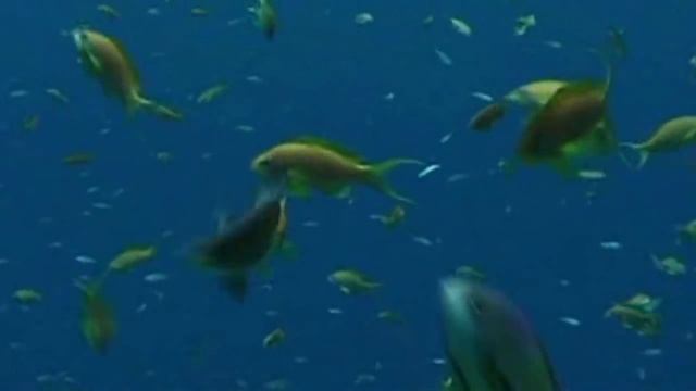 Counting Clouds - Blue Paradise смотреть онлайн