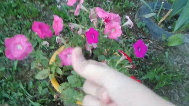 Короче говоря ,,Приехала в деревню"//Скоро новое видео!) смотреть онлайн