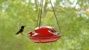 СПИ С БИБЛИЕЙ: Обрети Покой и Вдохновение в Божьем Слове