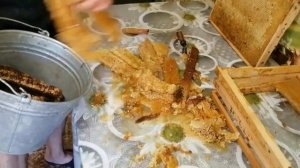 МЕДОВУХА! Этот рецепт покорил  интернет  простой до ужаса Медовуха ставленная часть 1.