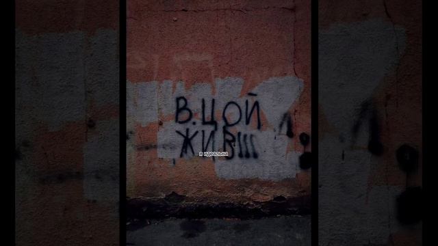 кто считает не так простите, я просто сама не люблю карею,блек пинк,кей поп,няшки и тд. смотреть онлайн