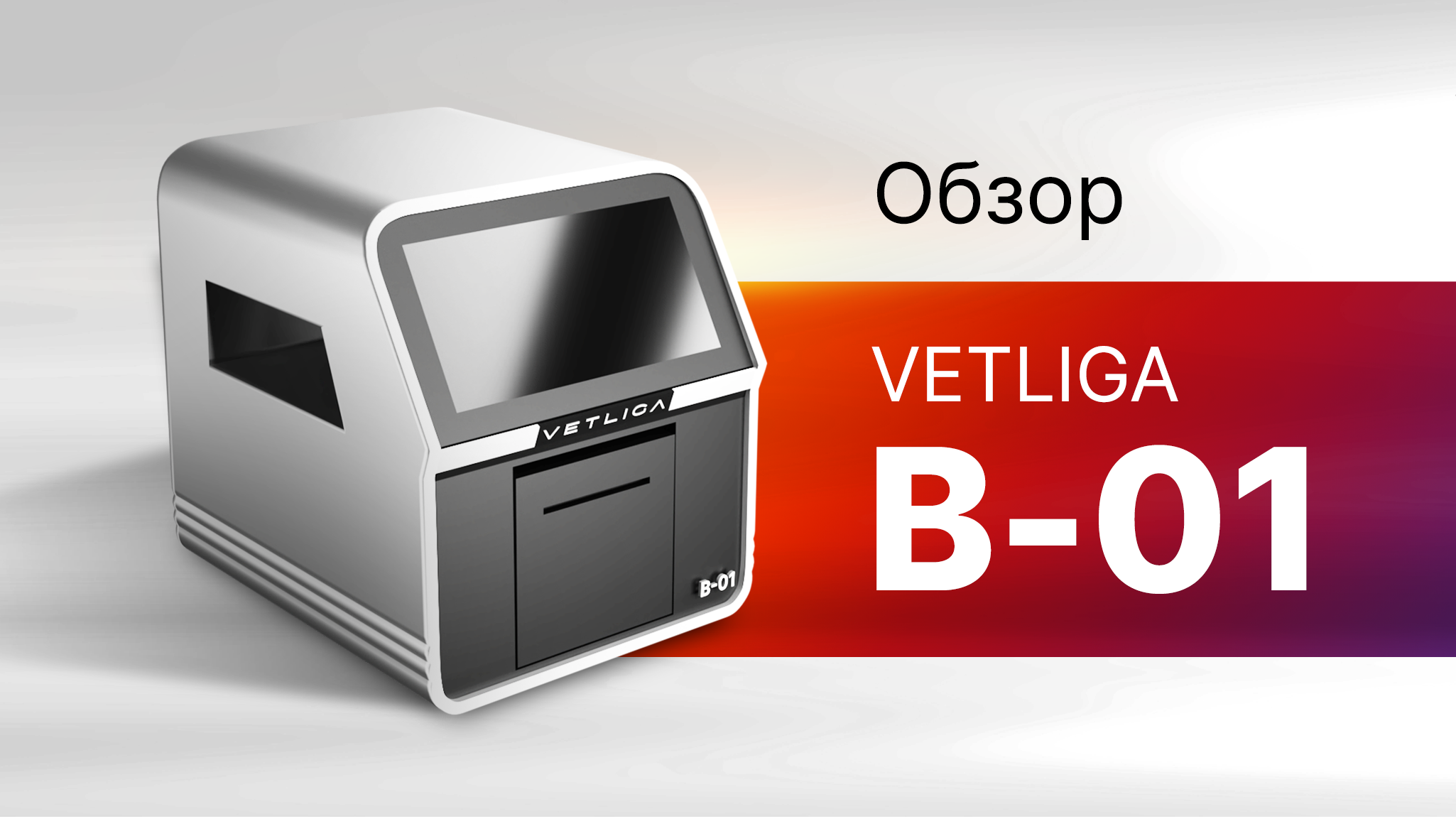 Обзор ветеринарного биохимического анализатора VETLIGA B-01
