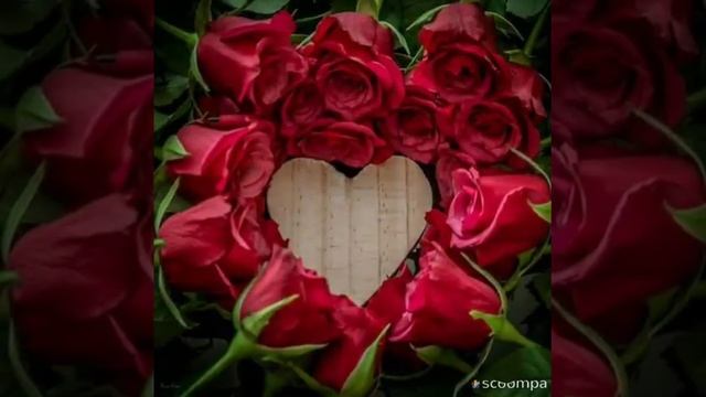 Git Diyemem ( Ezo-- ( Feat ) Rafet el roman ) смотреть онлайн