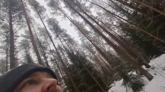 НАВЕСТИЛ БАЛАГАН В ЛЕСУ ПОСЛЕ БОЛЕЗНИ. ЗАНИМАЮСЬ БЫТОМ. ДИКАЯ КУХНЯ!