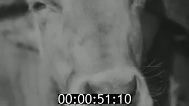 1932г. Праздник урожая в колхозе смотреть онлайн