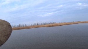 ОХОТА НА УТКУ В ЯНВАРЕ