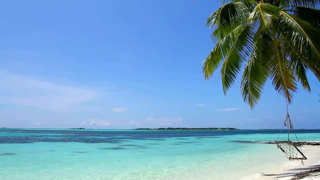 Relaxar! Suave Som das Ondas e Praia Paradisíaca смотреть онлайн
