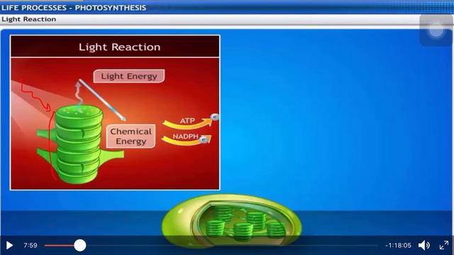 CL-X - SCIENCE “LIFE PROCESSES” смотреть онлайн