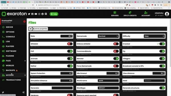 Exaroton the weirdest Minecraft server hosting company