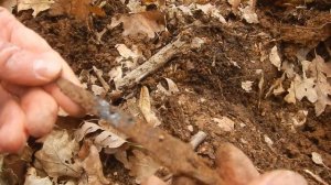 Крымские Зарисовки о копе. Видеосюжет №4