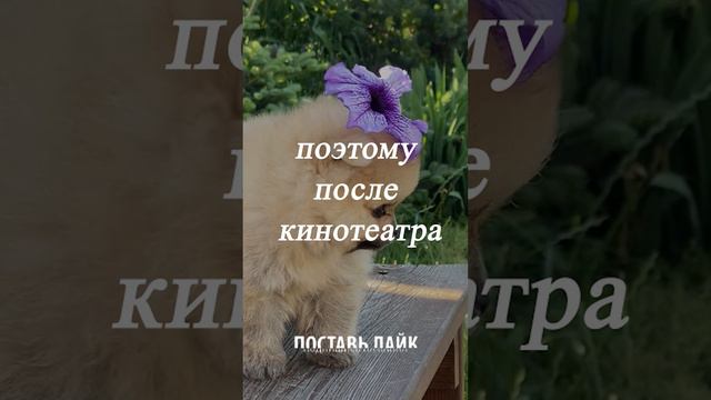 Как ... смотреть онлайн