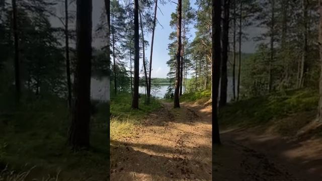 Красивые места Беларуси, Витебская область, Лепельский район (16.07.2021) Отдых, природа смотреть онлайн