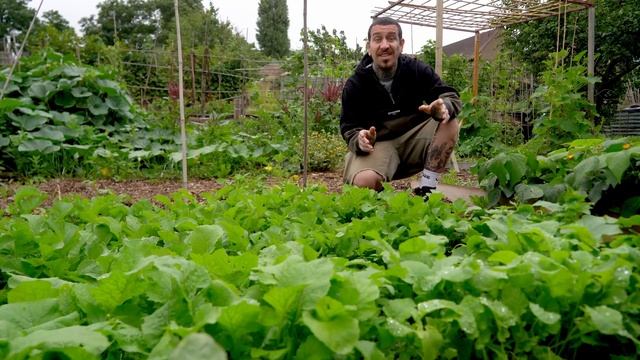 There's Still Time! 10 Vegetables to START in AUGUST смотреть онлайн