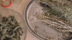 Полынь Горькая Готовим Полынный Уксус и Полынное Масло (продолжение)Псориаз,экземы