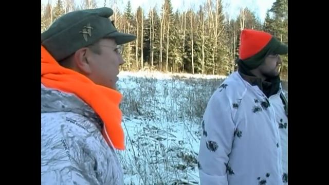 Охота на кабана и косулю. Загонная охота в Беларуси, часть-3. смотреть онлайн