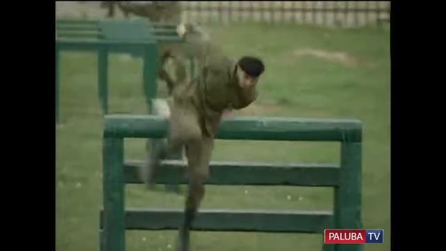 РАМЗАН КАДЫРОВ НАЧАЛО смотреть онлайн