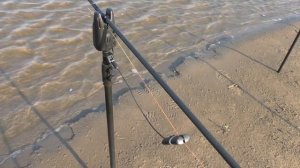 РЫБАЛКА НА САЗАНА, РЫБАЛКА НА ВОЛГЕ АСТРАХАНСКАЯ ОБЛ, ЛОВЛЮ САЗАНА, КАРПФИШИНГ, ОБЗОР ОБОРУДОВАНИЯ.