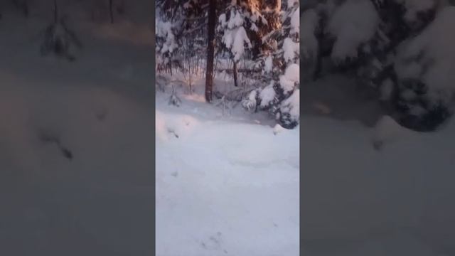 Джон дир спас МТЗ! Спасение трактора. смотреть онлайн