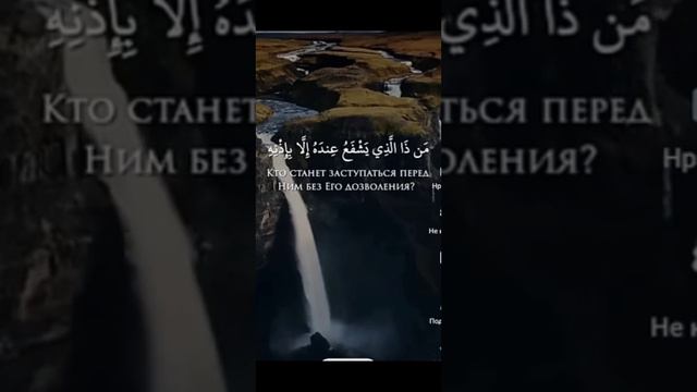 Красивое чтение Корана❤️Сура Аль-Бакара❤️ ❤️Аят Аль-Курси❤️❤️Чтец Ахмад Хедр❤️ смотреть онлайн