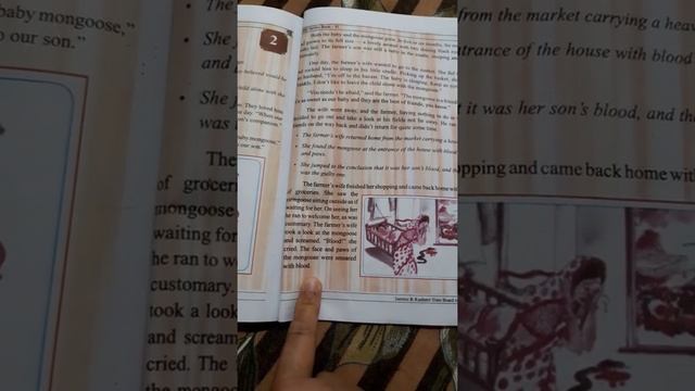 THE FRIENDLY MONGOOSE (ENGLISH 6 PART II) смотреть онлайн