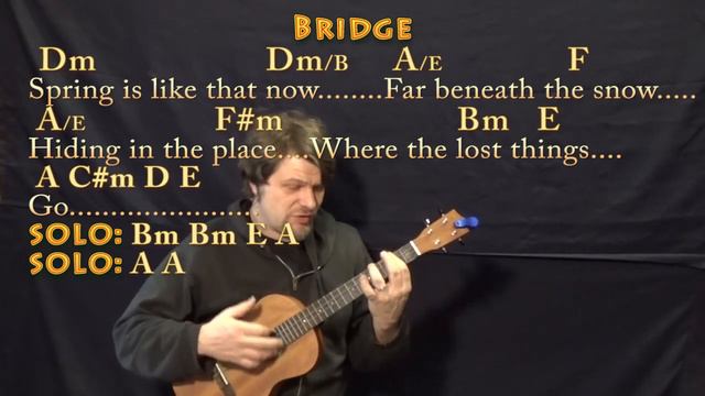 The Place Where The Lost Things Go (Emily Blunt) Bariuke Cover Lesson with Chords/Lyrics смотреть онлайн