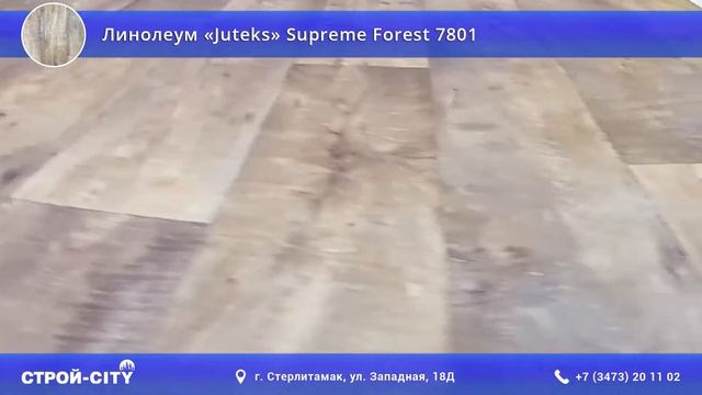 Линолеум «Juteks» Supreme Forest 7801 в Стерлитамаке смотреть онлайн