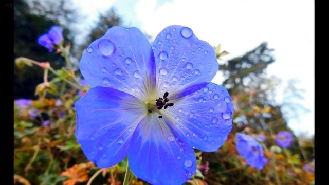 Nikon Coolpix B500 SAmple Images смотреть онлайн