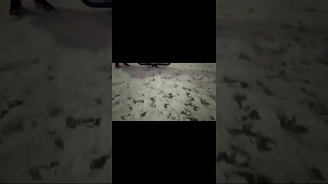 дистант физ-ра у мальчишек 10 класса смотреть онлайн