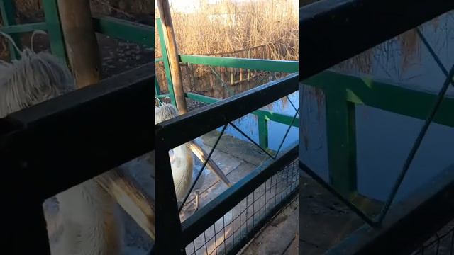 1 января 2024 г. смотреть онлайн