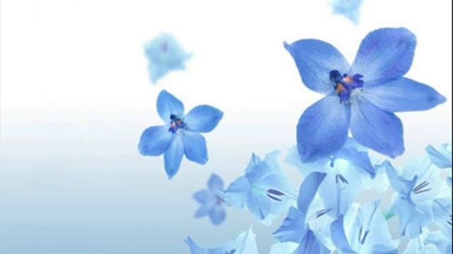 Viktoriya Dajneko - Sotri Ego Iz Memory.wmv.mp4 смотреть онлайн