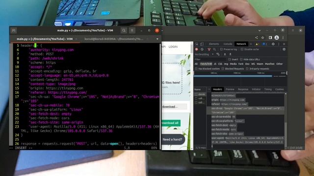 convert image on tinypng+tinyjpg using python WITHOUT API KEY смотреть онлайн