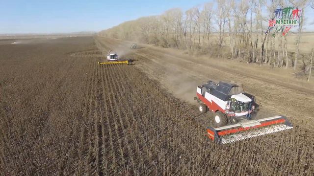 Отзыв агронома "Альтаир": Кодизоль в обработке SunPower в засуху смотреть онлайн