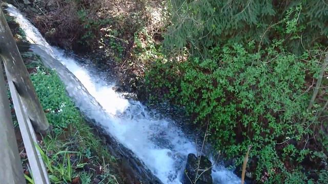 Santuario di San Bernardo (Trivero)/Альпаки/Парк рододендронов/Что привезли из поездки. смотреть онлайн