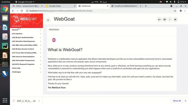 3. Getting Started with OWASP WebGoat, WebWolf and ZAP смотреть онлайн