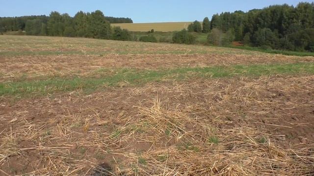 Волшебный амулет! В поисках золота! ? смотреть онлайн