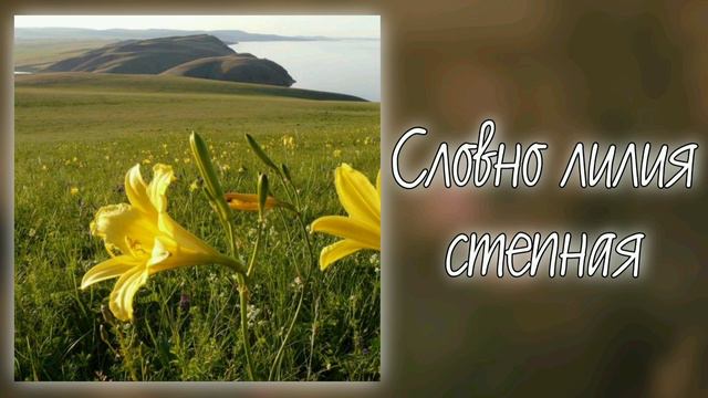Словно лилия степная смотреть онлайн